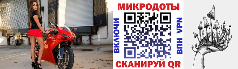 Галлюциногенные грибы Psilocybine cubensis  Купить  Бородино 